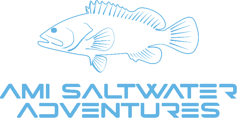 AMI Saltwater Adventures - Fishing Charter, Dolphins Tours