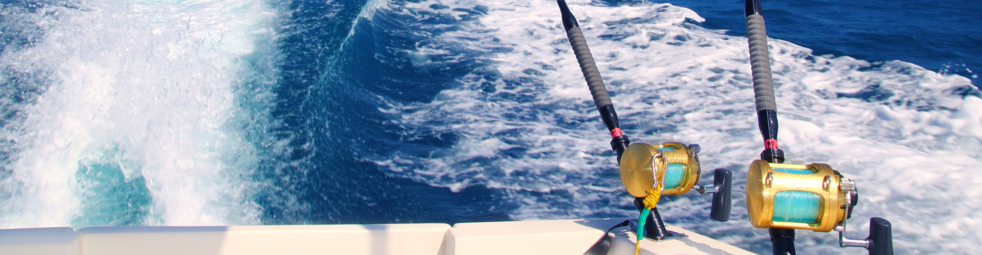 Read testimonials from clients who have caught tarpon with us